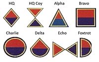 SANDF Engineers Company emblems