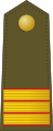 Sargento (Spanish Army)[79]