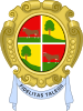 Coat of arms of Taleggio