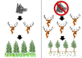 Image 14A simple trophic cascade diagram. On the right shows when wolves are absent, showing an increase in elks and reduction in vegetation growth. The left one shows when wolves are present and controlling the elk population. (from Community (ecology))