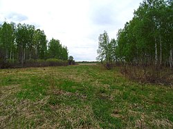 Nature reserve in Bolsheukovsky District
