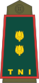 Indonesian Army (Letnan Kolonel)