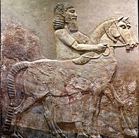 A horse and an Assyrian groom, from Khorsabad, Iraq. Iraq Museum