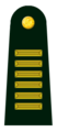 Peru (coronel)