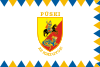 Flag of Püski