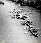 Hardwood logs transported down the Suriname River in South America in 1955
