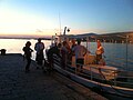 Krapanj's ferry at sunset
