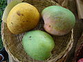 Typical South Asian mangoes