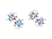 1jt7: Human Acidic Fibroblast Growth Factor. 141 Amino Acid Form with Amino Terminal His Tag AND LEU 44 REPLACED BY PHE AND LEU 73 REPLACED BY VAL AND VAL 109 REPLACED BY LEU (L44F/L73V/V109L)