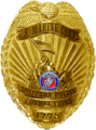 Marine Corps Military Police Corrections Badge