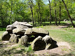 Die Großsteingräber D25, D24 und D23 in Bronneger
