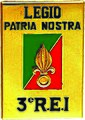 Regimental Insignia of the 3rd Foreign Infantry Regiment, 3e R.E.I