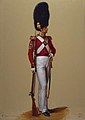 Colour-Sergeant Alexander McDonald, Scots Fusilier Guards, Royal Collection