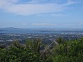 View of Auckland from Pukematekeo