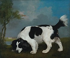 Black and White Spaniel Following a Scent (1793), oil on canvas, 25 x 30 in., Virginia Museum of Fine Arts