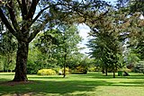 Pinetum at Bowood House in Wiltshire