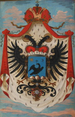 Arms used by Gheorghe Cantacuzino