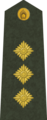 Pulkvedis[11] (Latvian Land Forces)