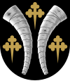 Wappen von Pielavesi
