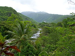 Der Fluß Grande-Rivière des Vieux-Habitants, Vieux-Habitants, auf Basse-Terre