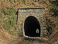 Eisenbahntunnel V Ulbersdorf (Einzeldenkmal zu ID-Nr. 09302086)