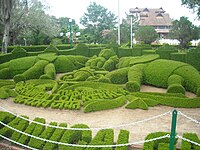 Topiary in the Botanical garden Thiruvananthapuram