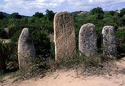 Die Steinreihen von Palaggiu, auch als Campu dei Morti (Friedhof) bezeichnet