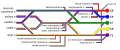 Diagram of the brachial plexus using colour to illustrate the contributions of each nerve root to the branches.