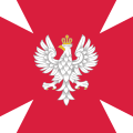 Seit 2020 genutztes Banner der polnischen Streitkräfte