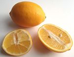 Früchte der Meyer-Zitrone