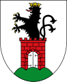 Turm im Wappen von Bergen mit wachsendem Löwen