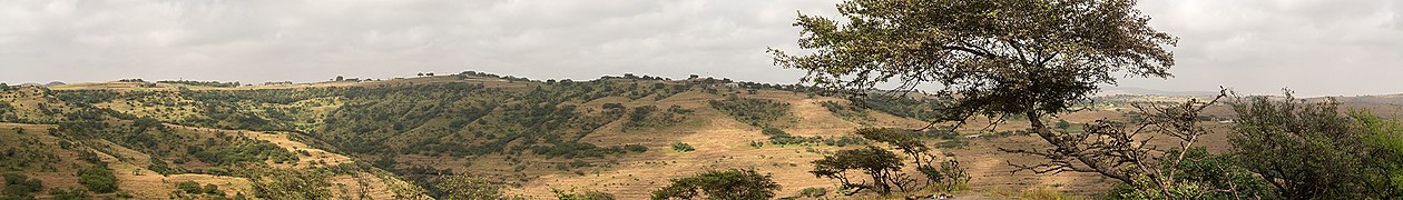 Landscape of Al-Qarah Mountains