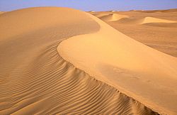 A dune sea (Erg) between Fachi and Bilma.