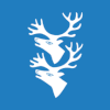 Flag of Rendalen Municipality