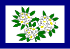 Flag of West Virginia (1905 – 1907)