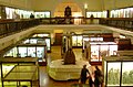 Museum main gallery