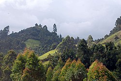 Murang’a County Landscape