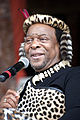 Goodwill Zwelithini kaBhekuzulu of Zululand