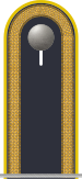 Dienstgradabzeichen auf der Schulterklappe der Jacke des Dienstanzuges für Luftwaffenuniformträger.