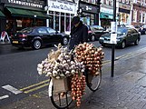 Cycle-mounted Breton onion salesmen are a familiar sight across southern England and Wales