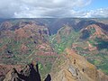 Image 21Waimea Canyon, Hawaii, is known for its montane vegetation. (from Montane ecosystems)
