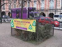 Christmas tree recycling point (point recyclage de sapins)