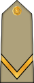 Sergent (Arabic: رقيب, romanized: Raqib) (Algerian Land Forces)[23]