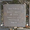 Bad Laasphe Schloßstr. 19 Sally Hahn