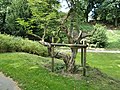 Gehölz im Dendrologischen Garten des Harburger Stadtparks