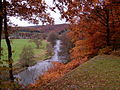 The Ourthe near Beffe in autumn