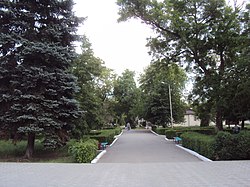 Town park, Sovetsky District