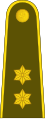 Vyresnysis leitenantas (Lithuanian Land Forces)[14]