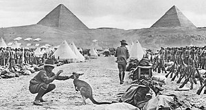 A soldier with a kangaroo amidst a military camp in front of the pyramids