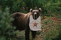 The Barnstar EATEN BY A BEAR is awarded to any Wikipedian who says something very humorous and or random, thus cheering up fellow Wikipedians who read it. It is well deserved! :D —Ed 17 for President Vote for Ed 19:02, 28 October 2008 (UTC)